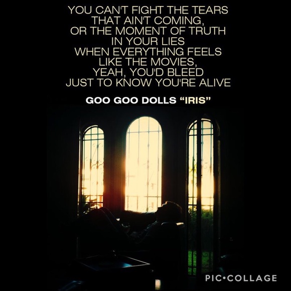 Meet your Posher, Cathy - Picture 7 of 8